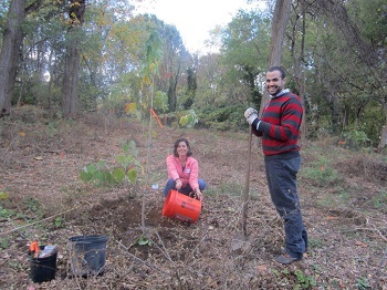 Mell & Perkins_Tree Planting